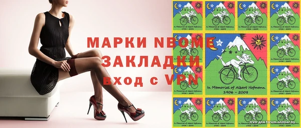 хмурый Бородино